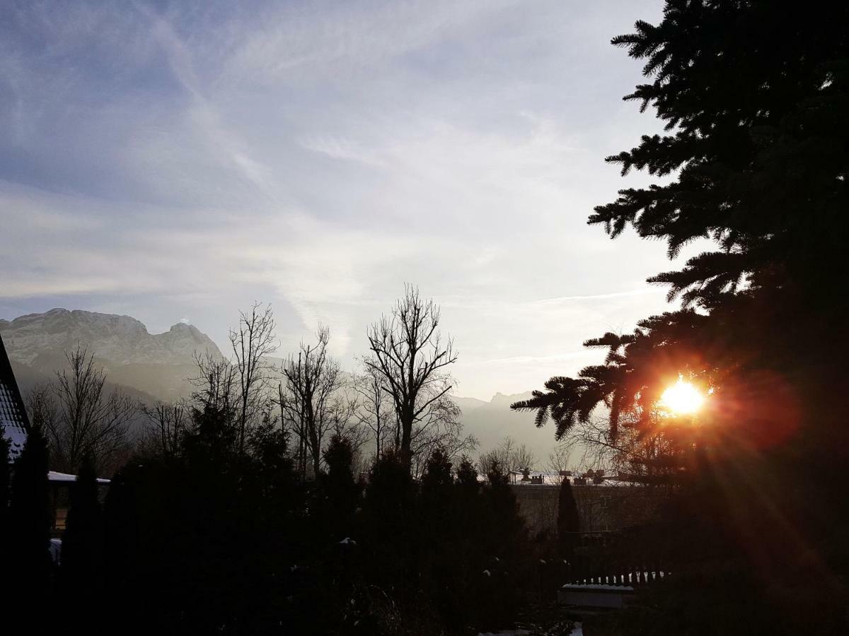 Goscinne Wilcznik 12 Bed & Breakfast *