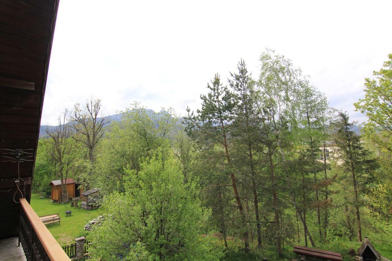 Goscinne Wilcznik 12 Bed & Breakfast Zakopane